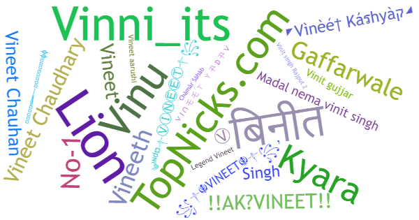 Nicknames for Vineet