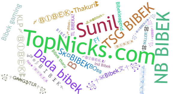 Nicknames for Bibek