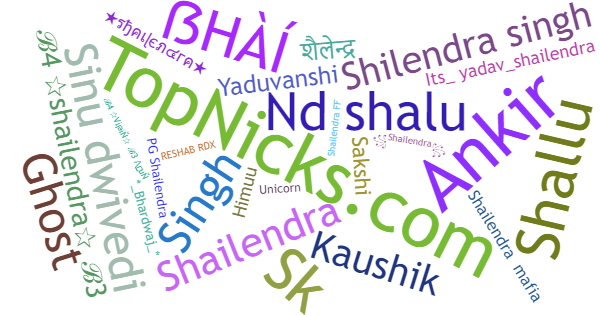 Nicknames for Shailendra