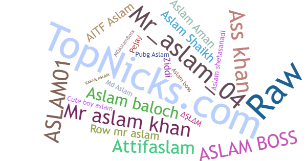 Nicknames for Aslam