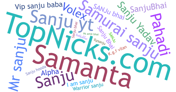 Nicknames for Sanjubhai