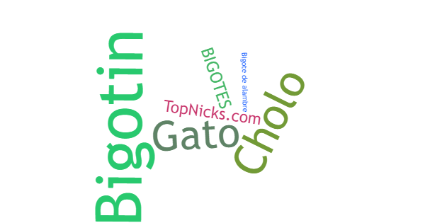 Nicknames for Bigotes