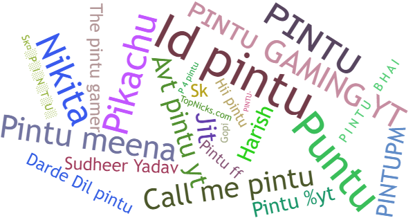 Nicknames for Pintu