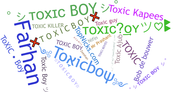 Nicknames for Toxicboy