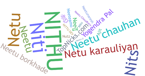 Nicknames for Neetu