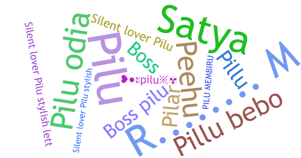 Nicknames for Pilu