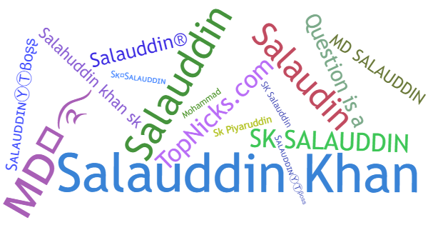 Nicknames for Salauddin