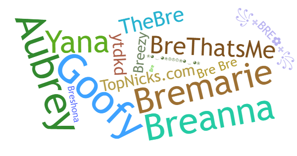 Nicknames for Bre