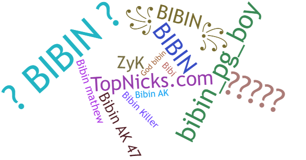 Nicknames for Bibin