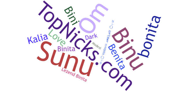 Nicknames for Binita