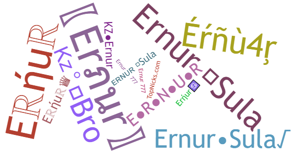 Nicknames for Ernur