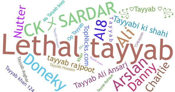 Nicknames for Tayyab