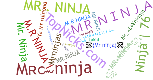 Nicknames for MrNinja