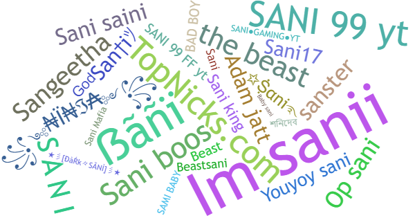 Nicknames for SANI