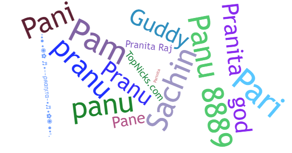 Nicknames for Pranita