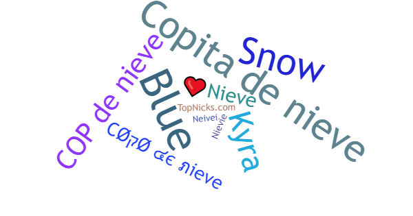 Nicknames for Nieve