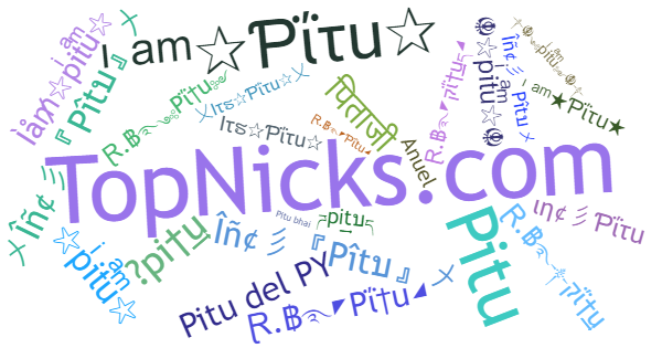 Nicknames for Pitu