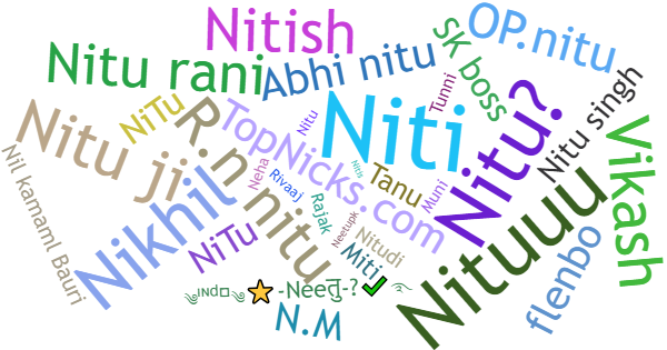 Nicknames for Nitu