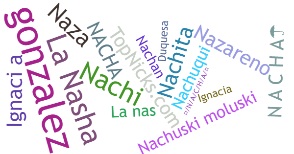 Nicknames for Nacha