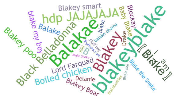 Nicknames for Blake