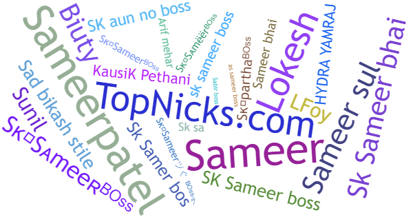 Nicknames for Sksameerboss