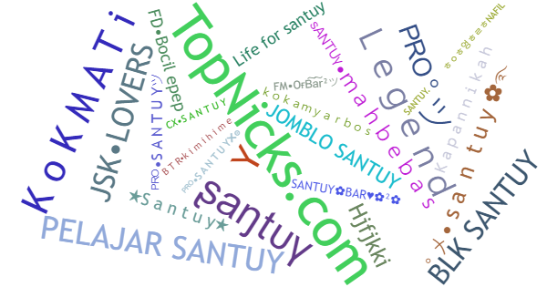 Nicknames for Santuy