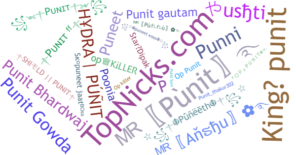 Nicknames for Punit