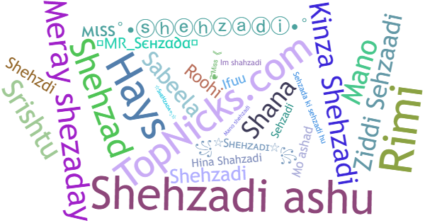 Nicknames for Shehzadi