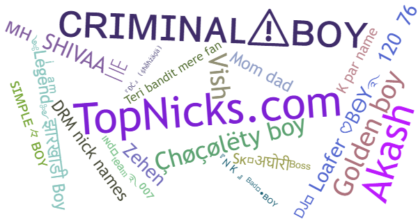 Nicknames for Boy