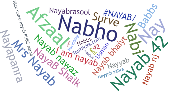 Nicknames for Nayab